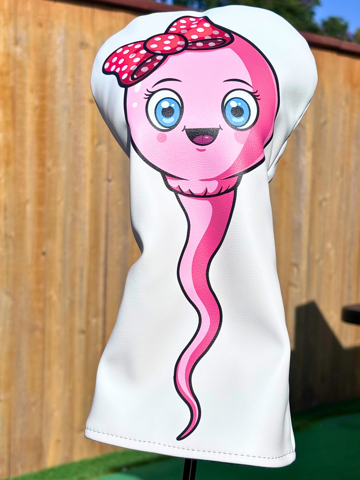 Baby Reveal Head Cover