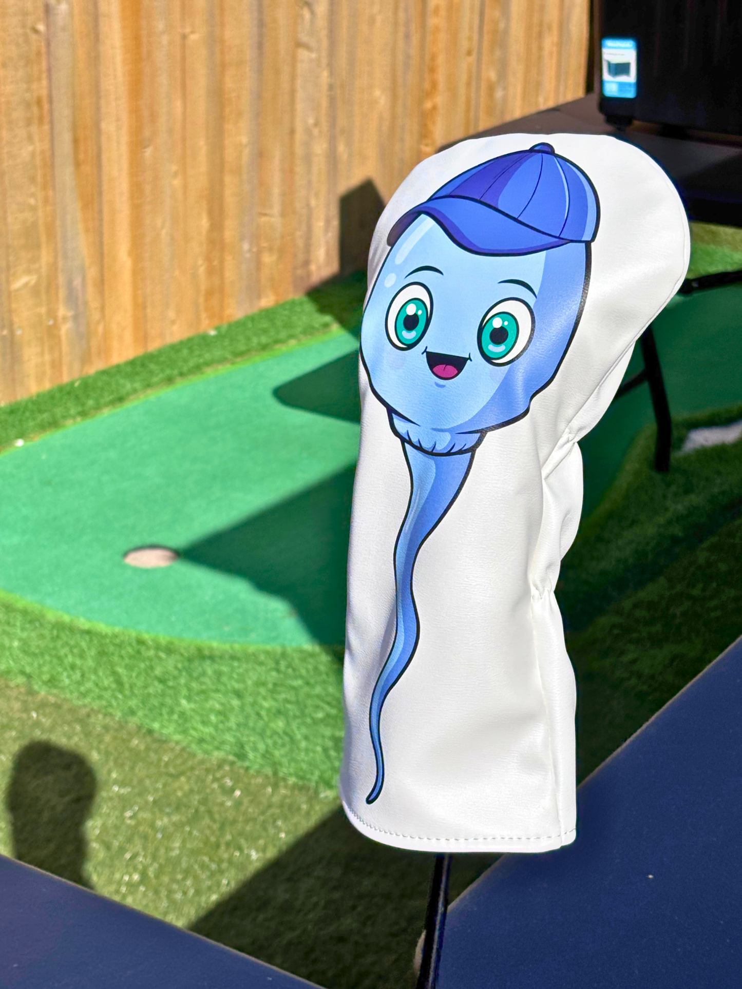 Baby Reveal Head Cover